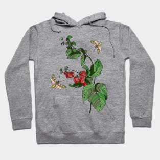 Botanical illustration: raspberry plant and butterflies Hoodie